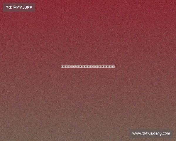 女排宁波赛事中国女排宁波赛事火热开打，展现团队协作与竞技魅力，引得万众瞩目